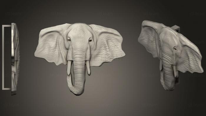 3D model Hebilla Elefante (STL)